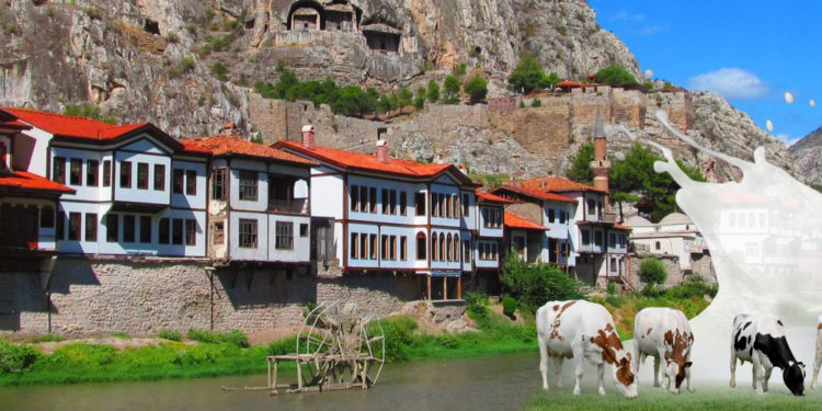Amasya Köylerinden Yükselen Büyük Değişimin Öyküsü