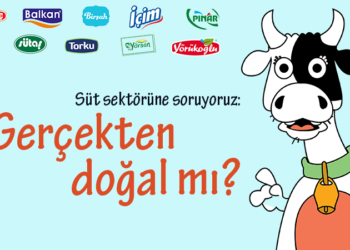 Süt Sektörüne Sordular: Gerçekten Doğal mı?