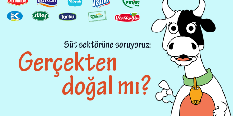 Süt Sektörüne Sordular: Gerçekten Doğal mı?
