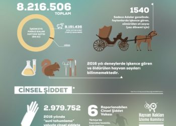 Hayvan Hakları İzleme Komitesi, Hak İhlallerini Mercek Altına Alıyor
