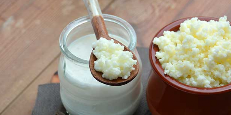 Sağlık Dostu Kefir