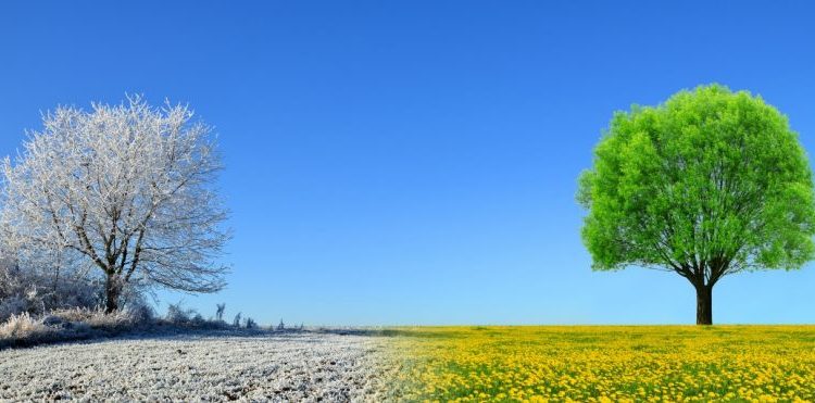 Vücudunuzu Mevsim Değişikliğine Hazırlamanız Sağlığınız İçin Çok Önemli