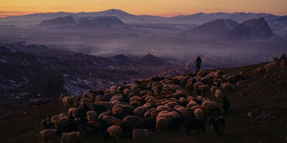 2018 Sony Dünya Fotoğraf Ödülleri’nde, 5 Türk fotoğrafçı Onurlandırıldı