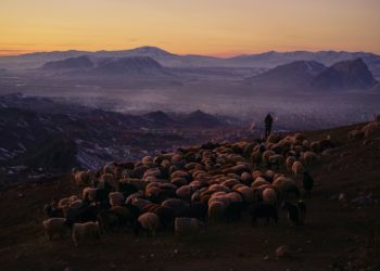 2018 Sony Dünya Fotoğraf Ödülleri’nde, 5 Türk fotoğrafçı Onurlandırıldı