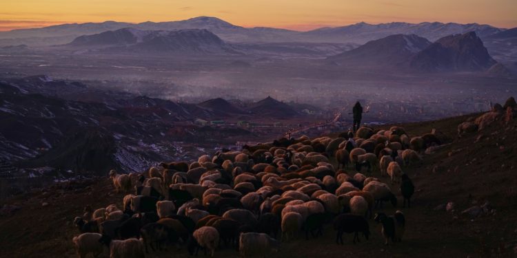 2018 Sony Dünya Fotoğraf Ödülleri’nde, 5 Türk fotoğrafçı Onurlandırıldı