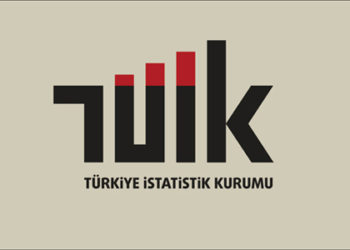 TÜİK 2012 Kadın İstatistiklerini Yayınladı
